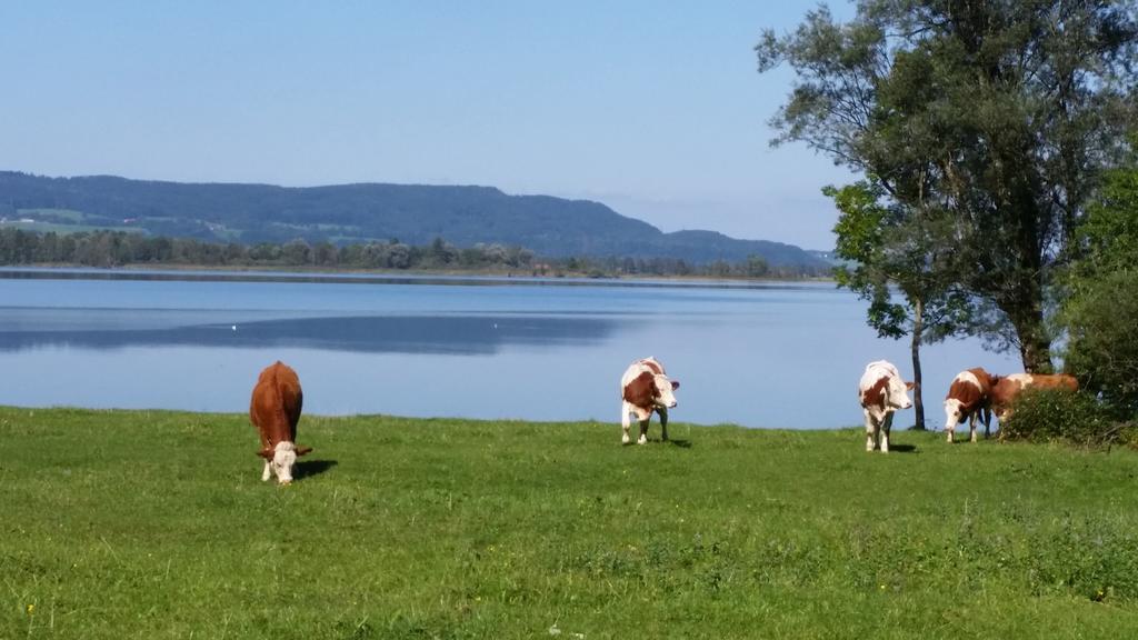 Aparthotel Alpenpark Kochel am See Buitenkant foto